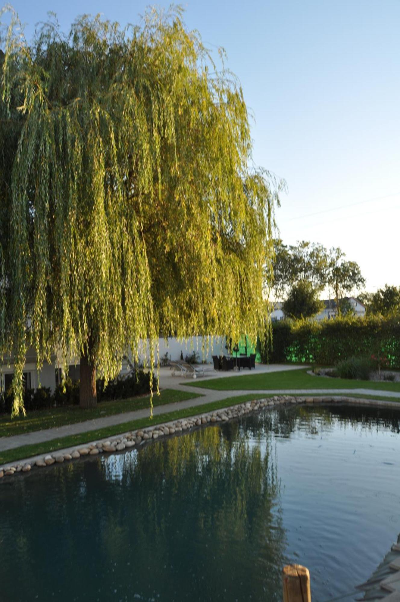 KIRCHERS PARK-HOTEL KAISERSTUHL Garni Endingen am Kaiserstuhl Zewnętrze zdjęcie